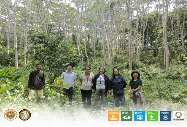 MU Establishes 3-Hectare Falcata Seed Plantation in Region 10