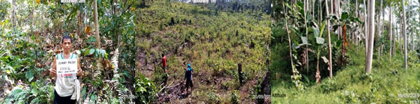 Misamis University is the 3 rd Party of the National Greening Program (NGP) Assessment in 2 NGP Areas in Misamis Oriental: Gingoog and Manticao