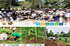 600 Philippine Endemic Narra Seedlings Planted by MU NSTP Students at Capucao Farm, Ozamiz City