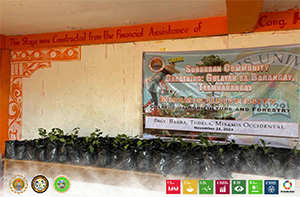 College of Agriculture and Forestry--Future Agriculturists  Launched  Suburban Community Gardening: Teamnabangay Gulayan sa Barangay Project at Barangay Barra, Tudela, Misamis Occidental